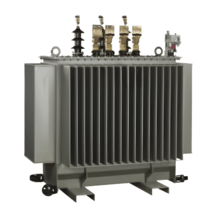 Oil immersed transformer